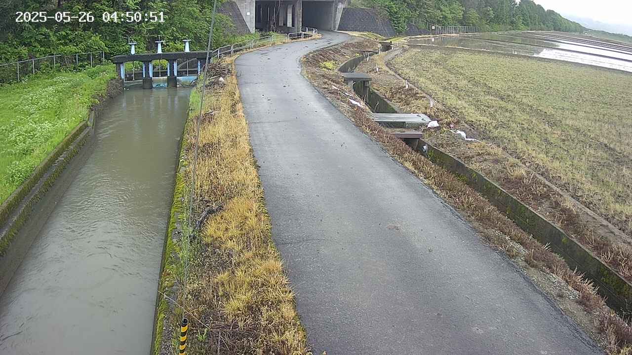 area11-20250526045053.jpg