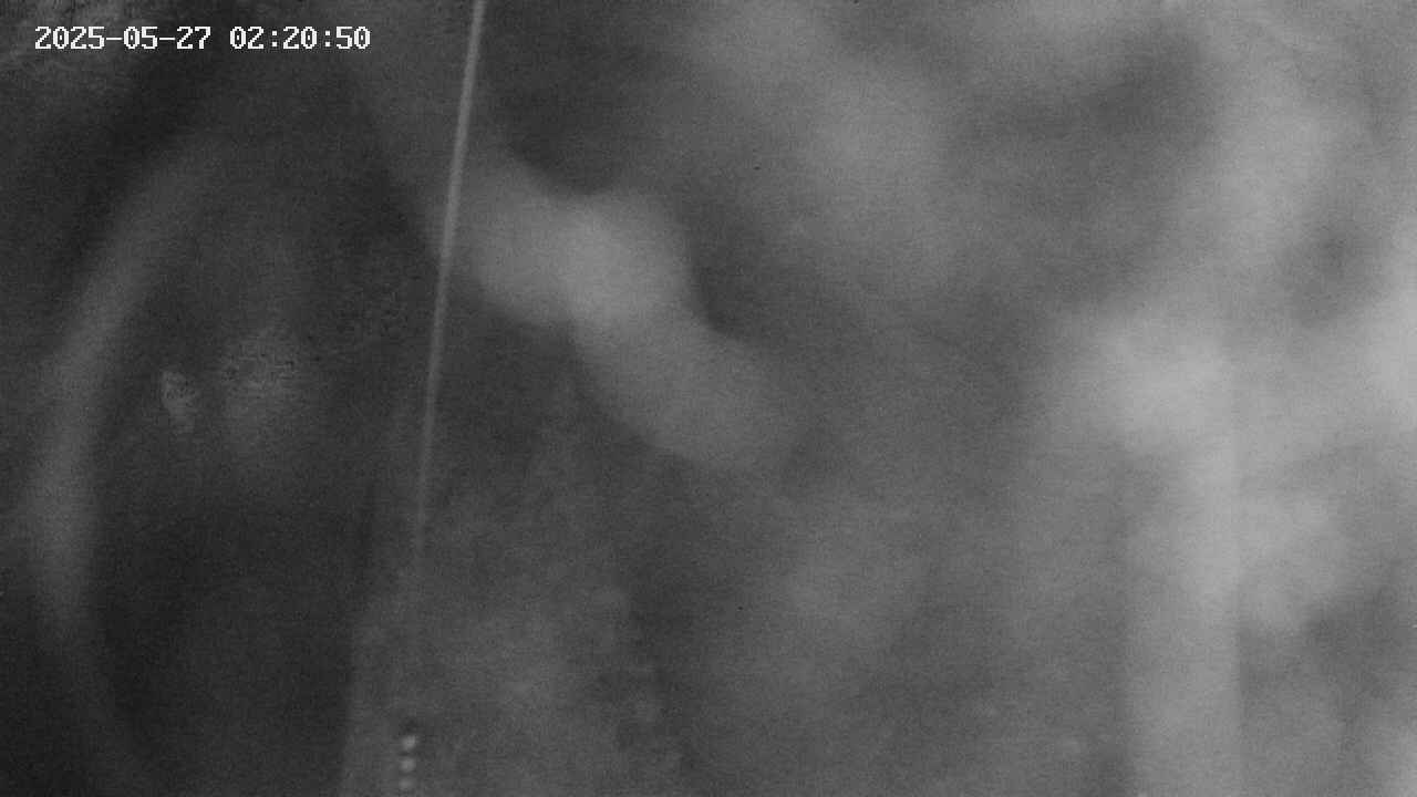 area11-20250527022051.jpg
