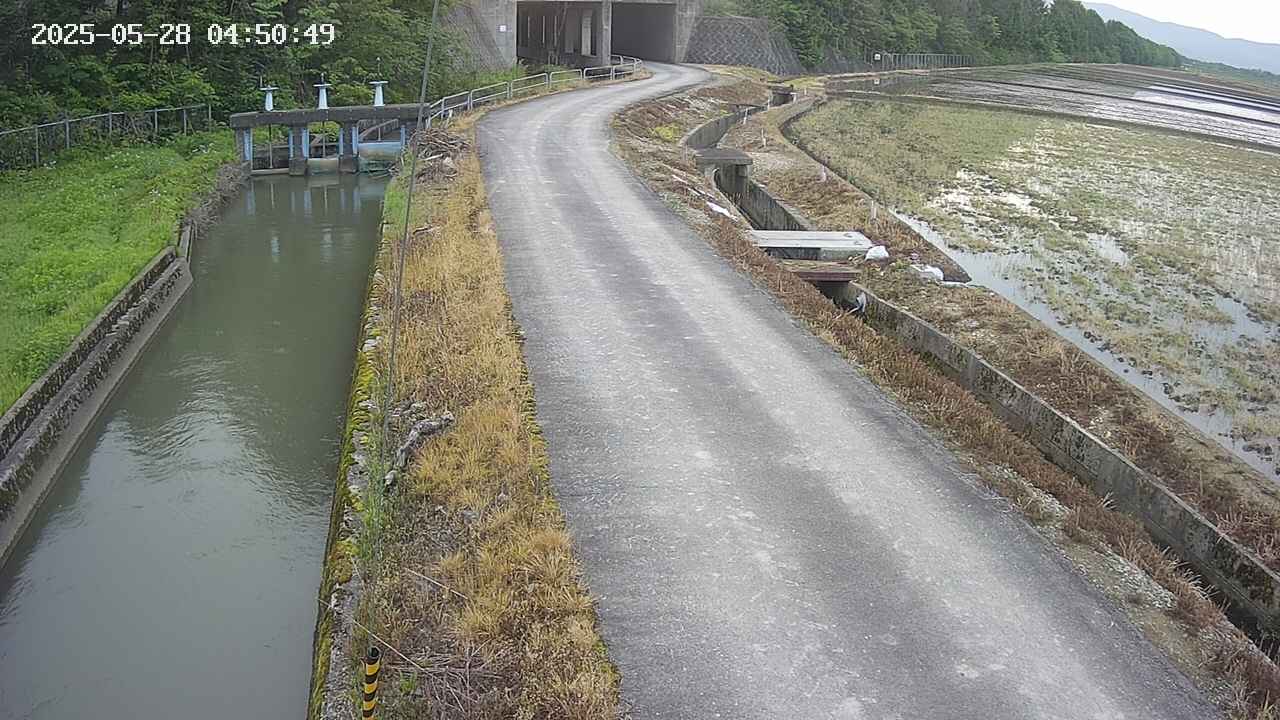 area11-20250528045050.jpg