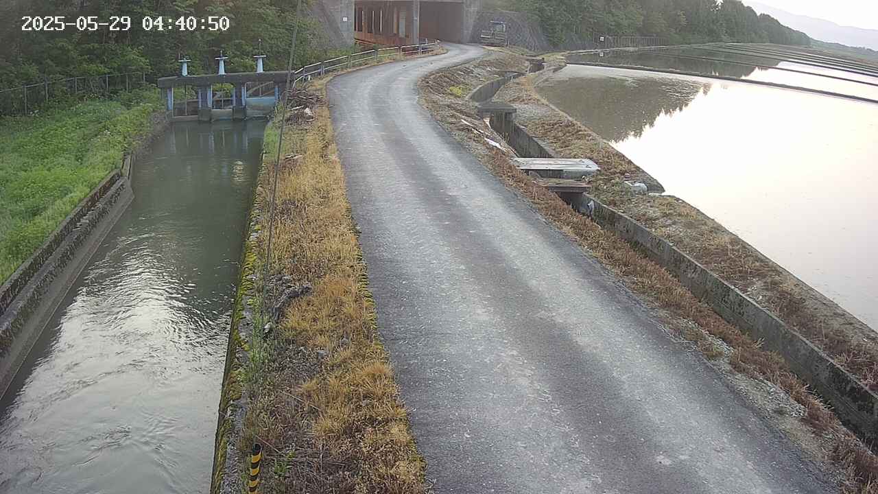 area11-20250529044052.jpg