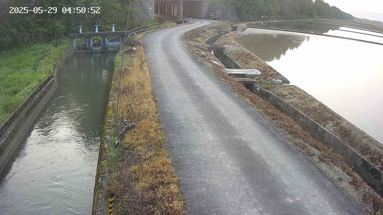 area11-20250529045053.jpg