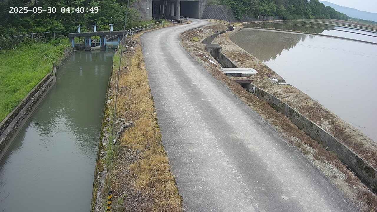 area11-20250530044051.jpg