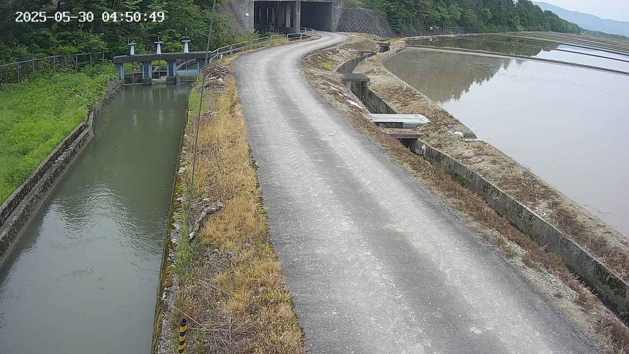area11-20250530045050.jpg