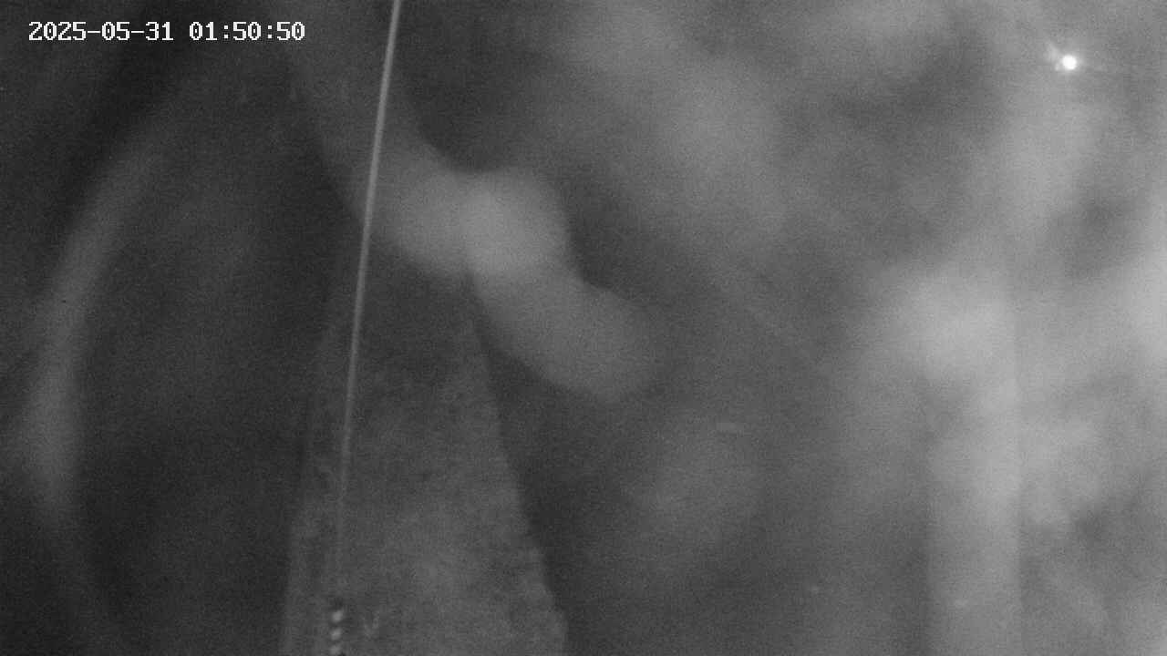 area11-20250531015052.jpg