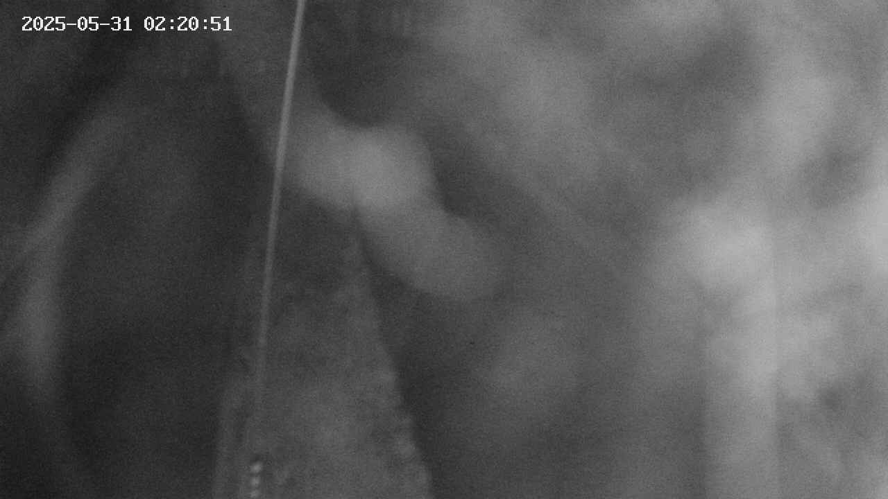 area11-20250531022053.jpg