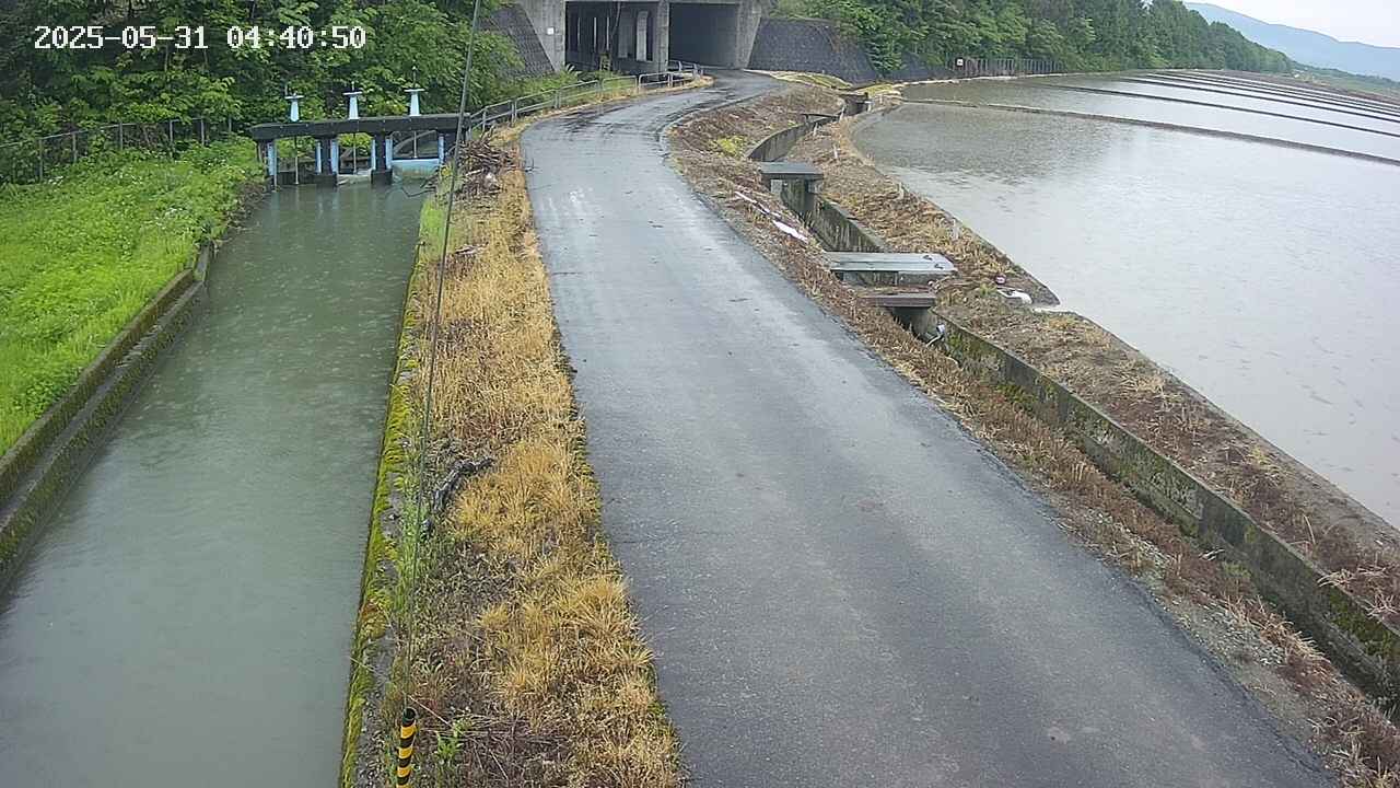 area11-20250531044052.jpg