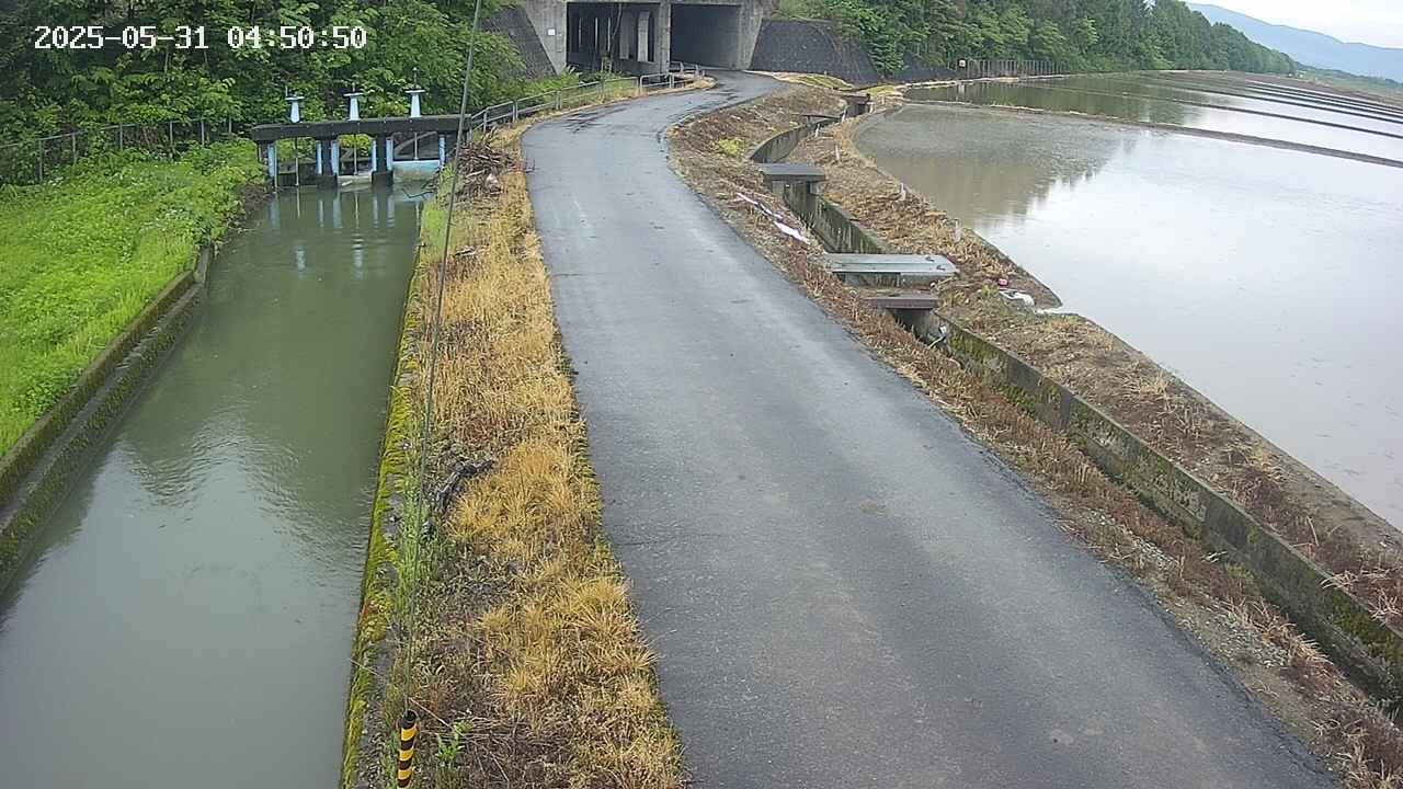area11-20250531045052.jpg