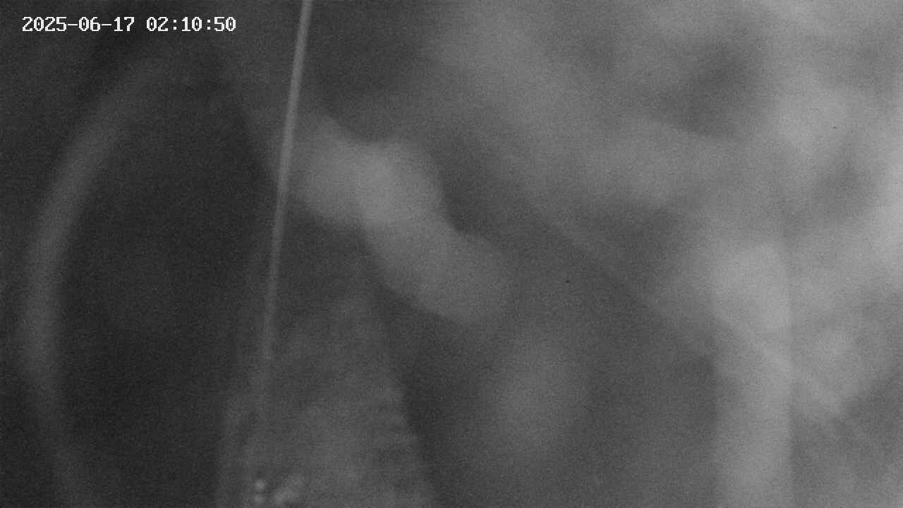 area11-20250617021051.jpg