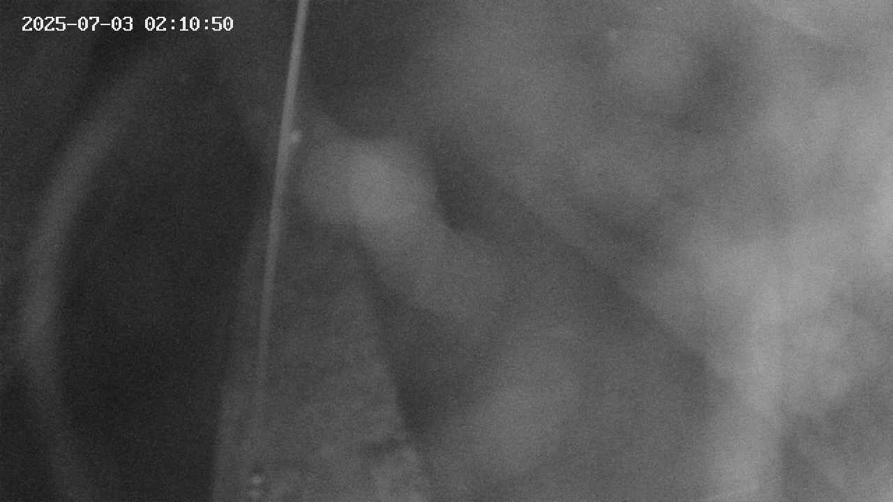 area11-20250703021051.jpg