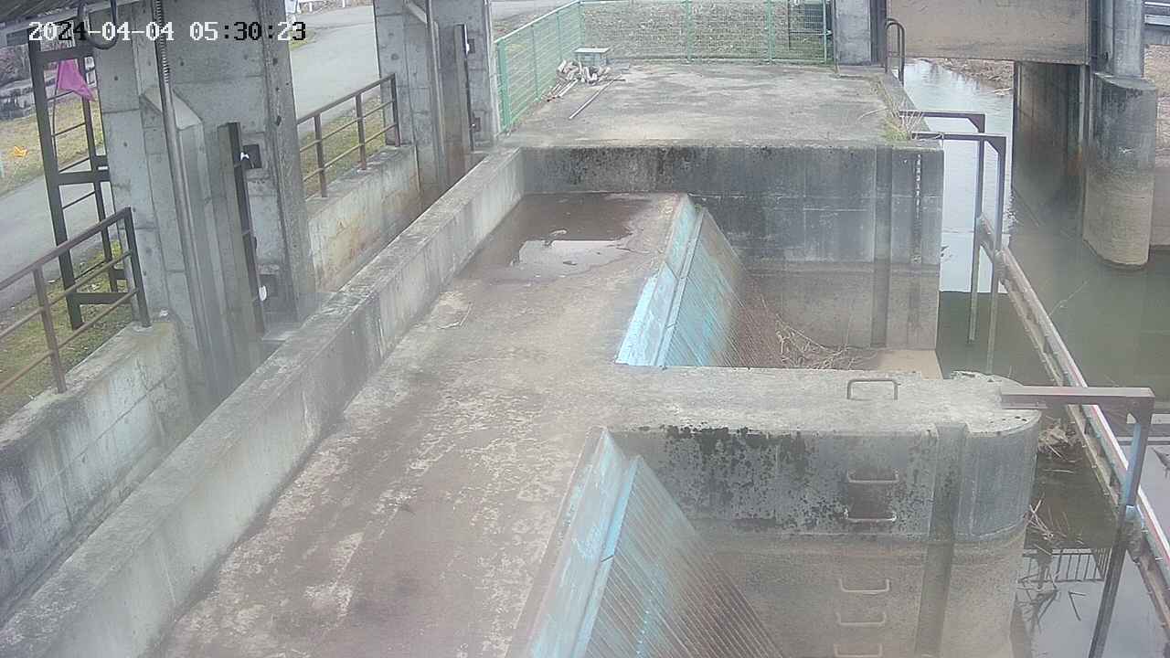 area2-20240404053024.jpg