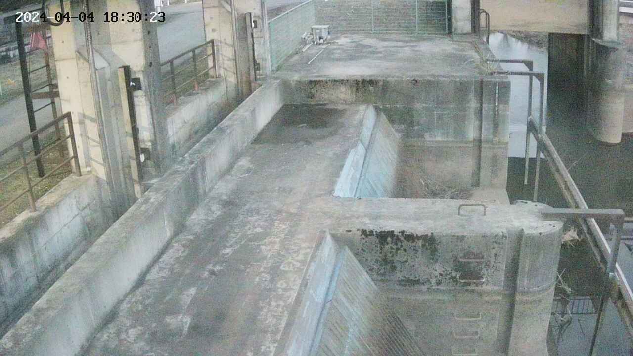 area2-20240404183024.jpg