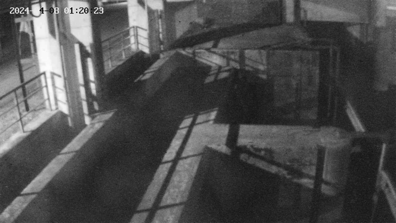 area2-20240408012024.jpg