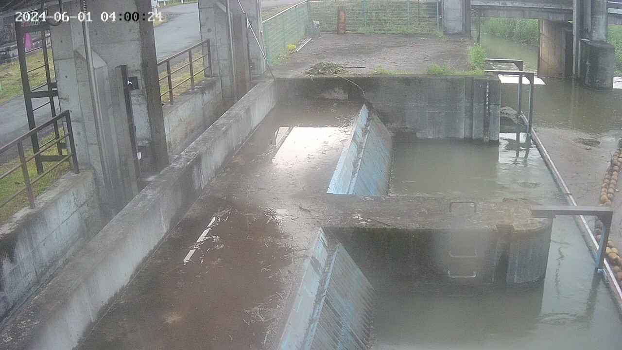 area2-20240601040024.jpg