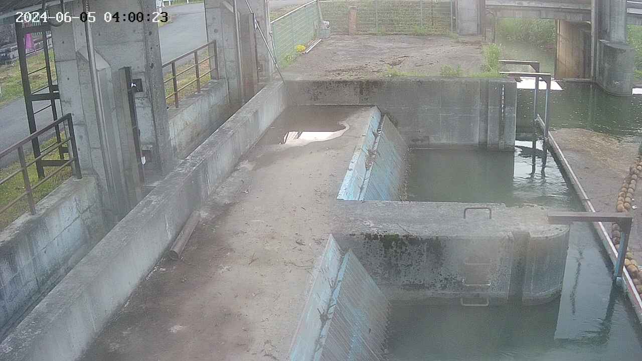 area2-20240605040024.jpg