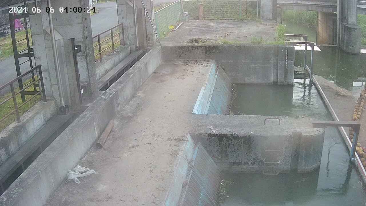 area2-20240606040025.jpg