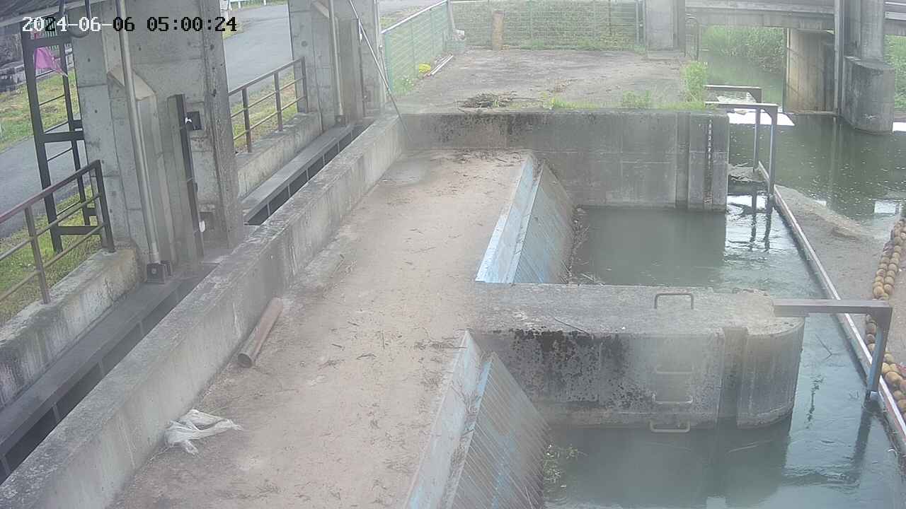 area2-20240606050025.jpg