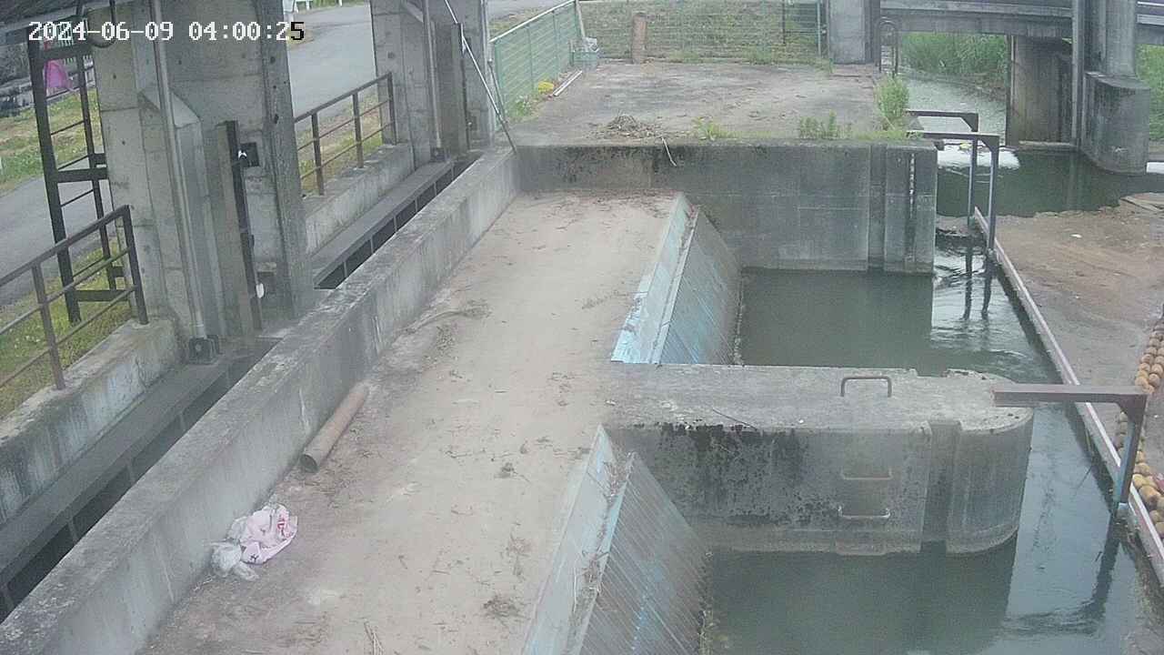 area2-20240609040026.jpg