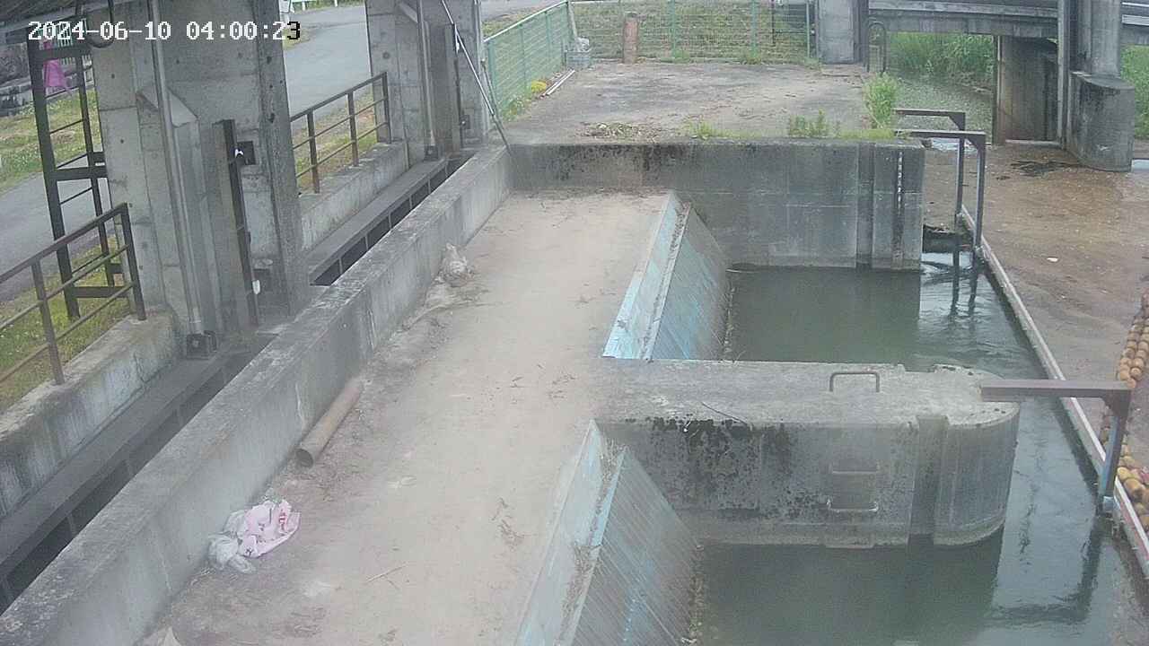 area2-20240610040024.jpg
