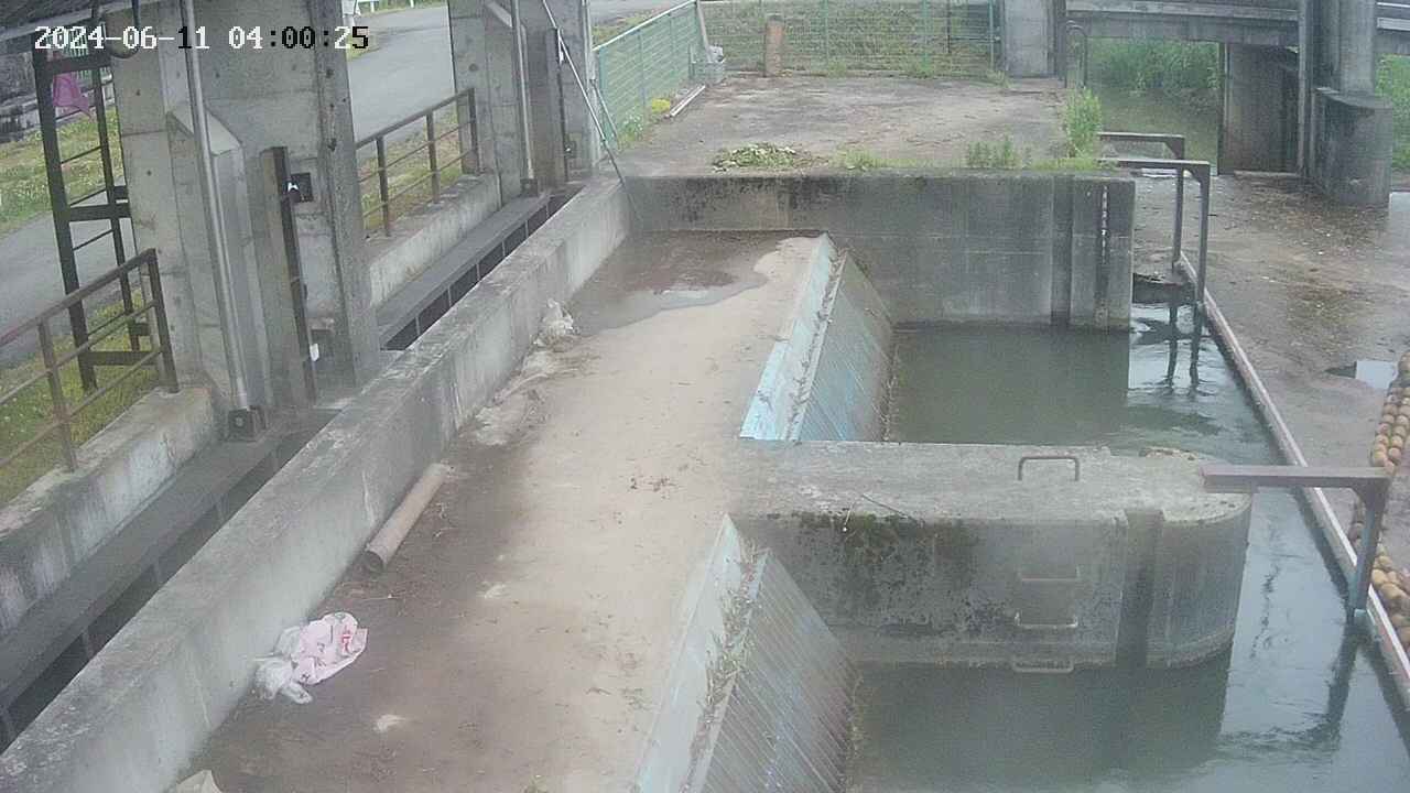 area2-20240611040025.jpg