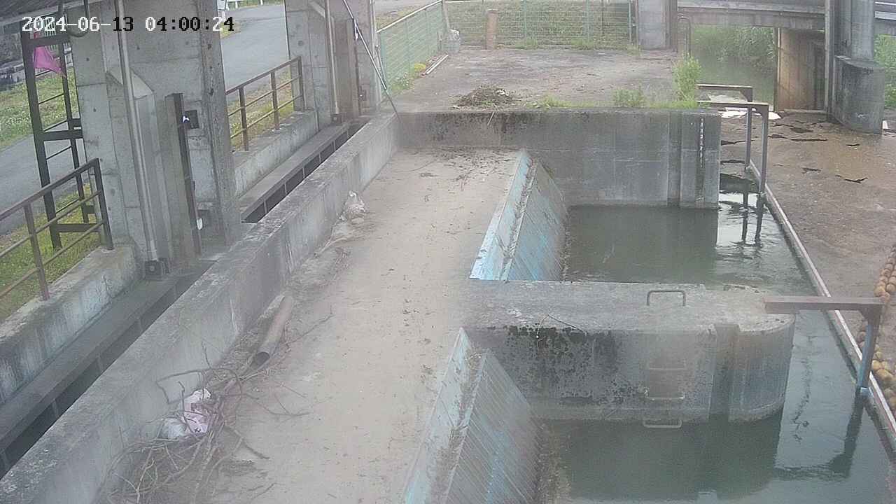 area2-20240613040025.jpg
