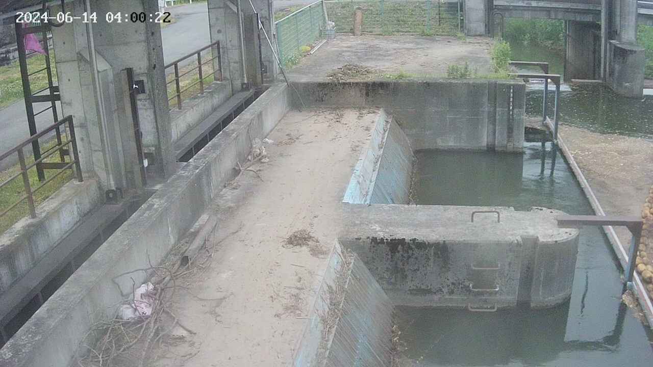 area2-20240614040023.jpg