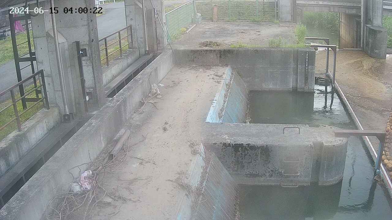 area2-20240615040023.jpg