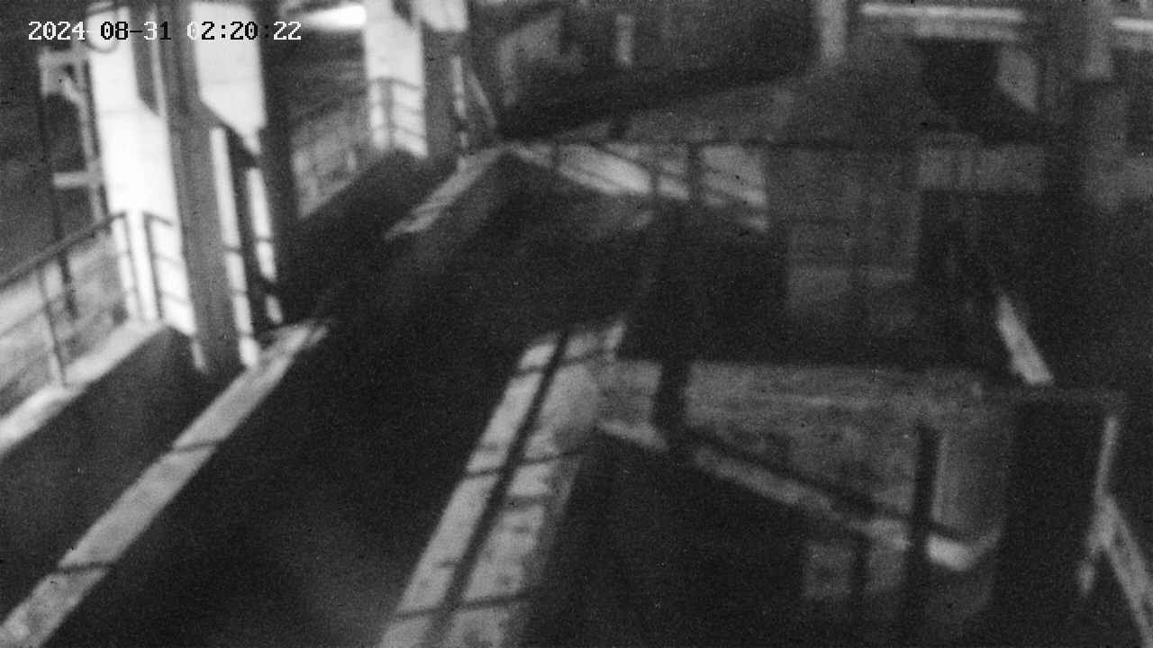 area2-20240831022023.jpg