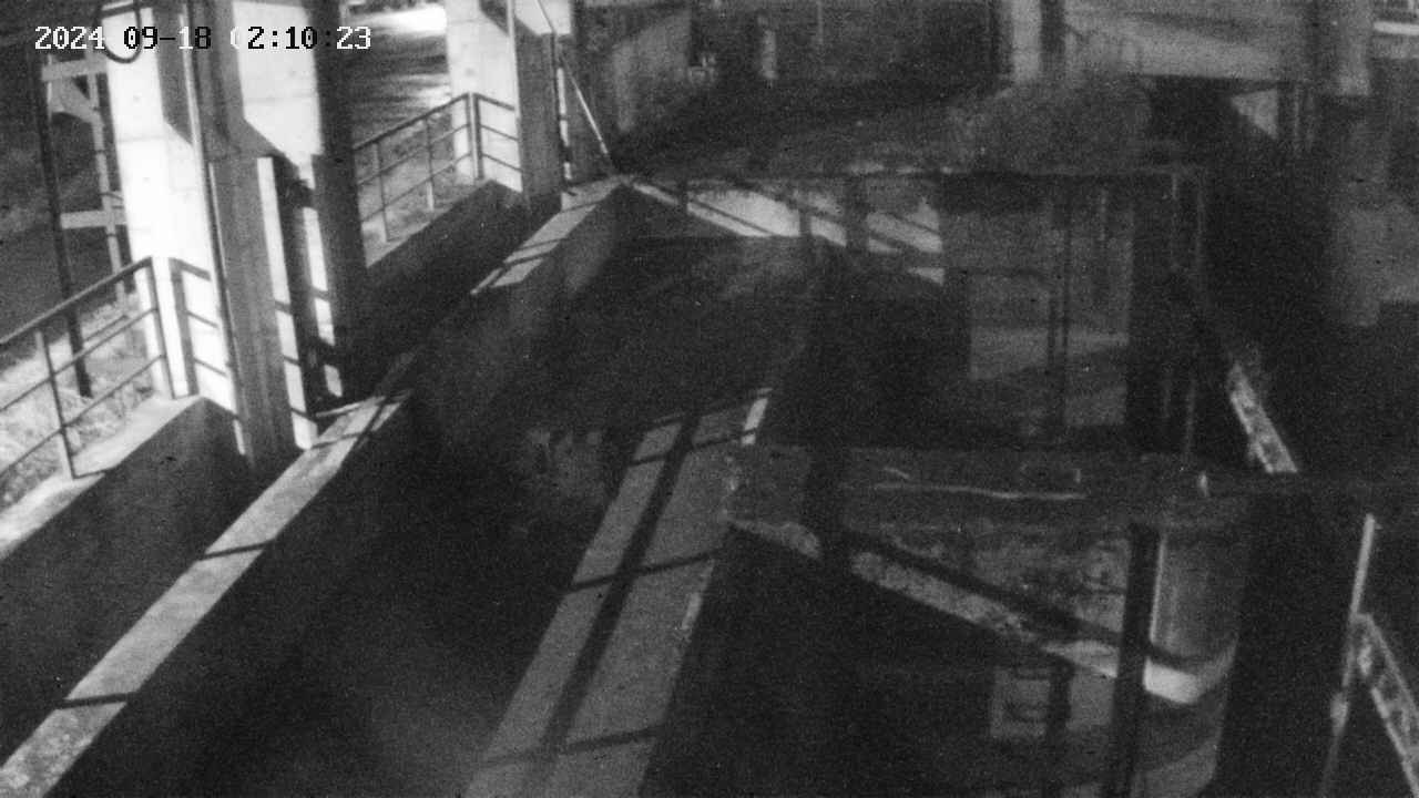 area2-20240918021024.jpg