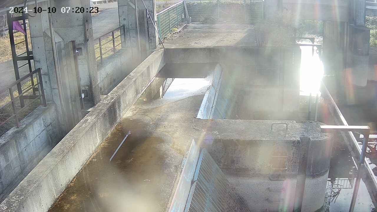 area2-20241010072024.jpg