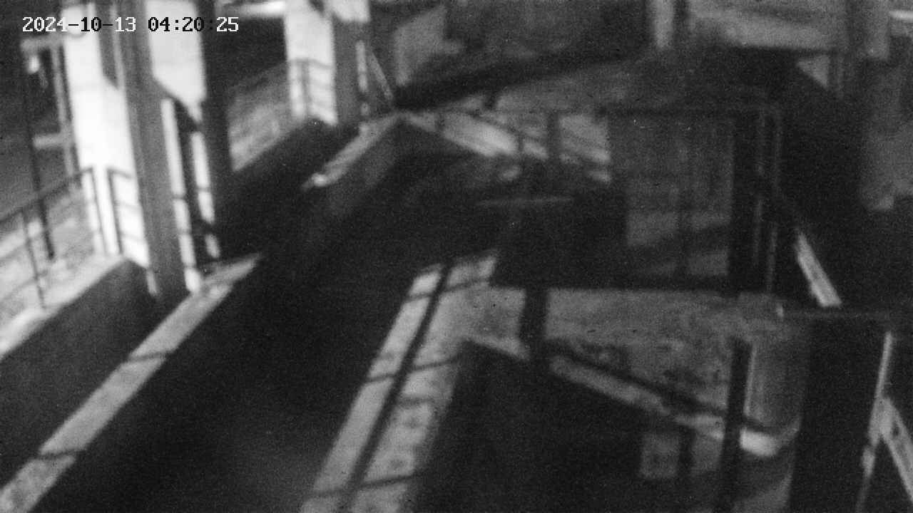 area2-20241013042025.jpg