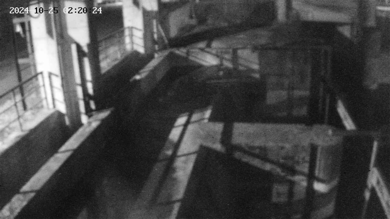 area2-20241025022025.jpg