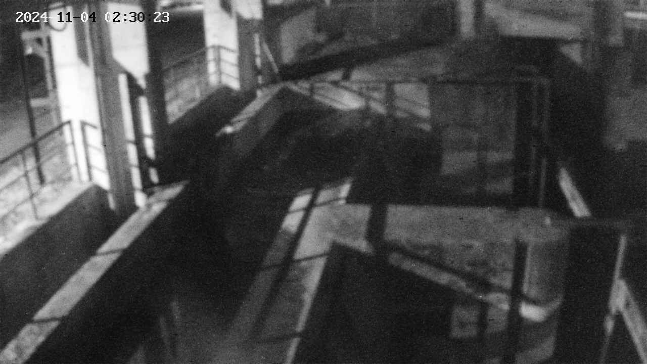 area2-20241104023024.jpg