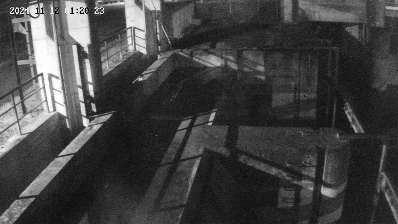 area2-20241112012024.jpg