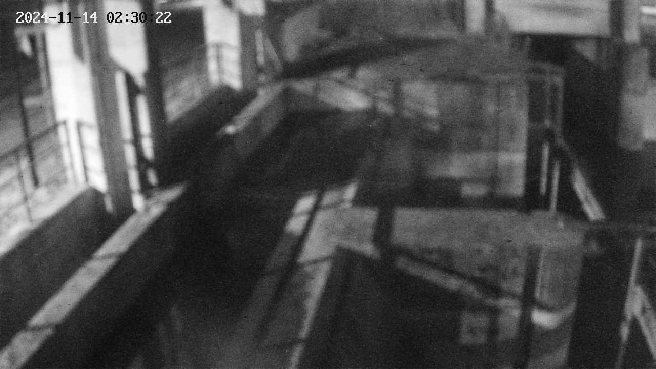 area2-20241114023023.jpg