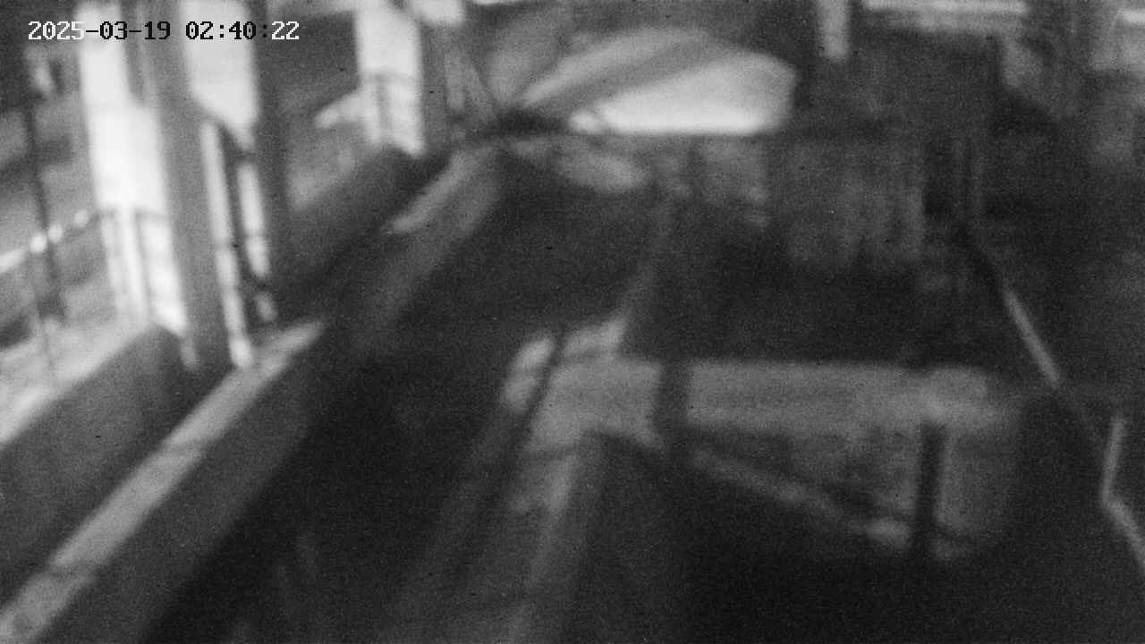 area2-20250319024023.jpg