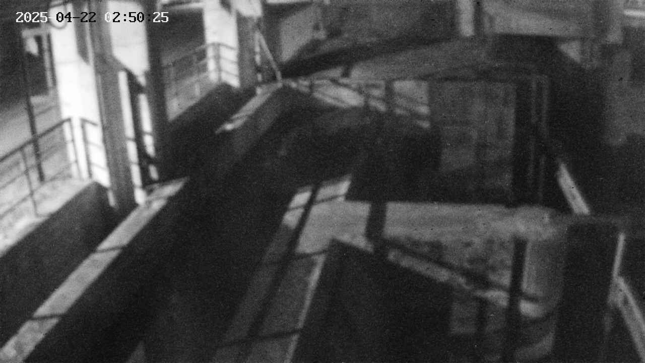 area2-20250422025026.jpg