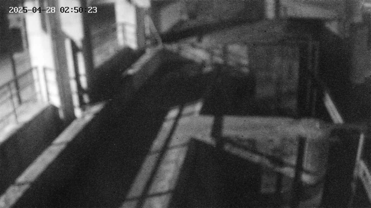 area2-20250428025024.jpg