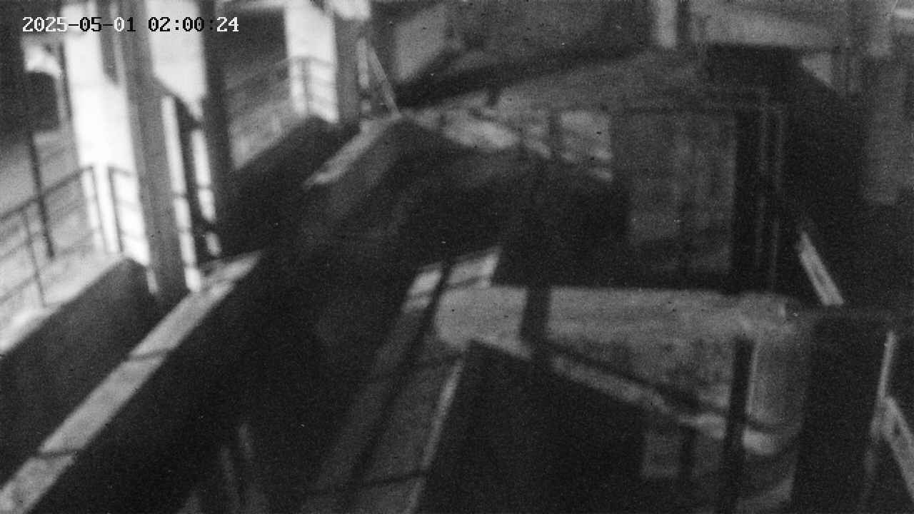 area2-20250501020025.jpg