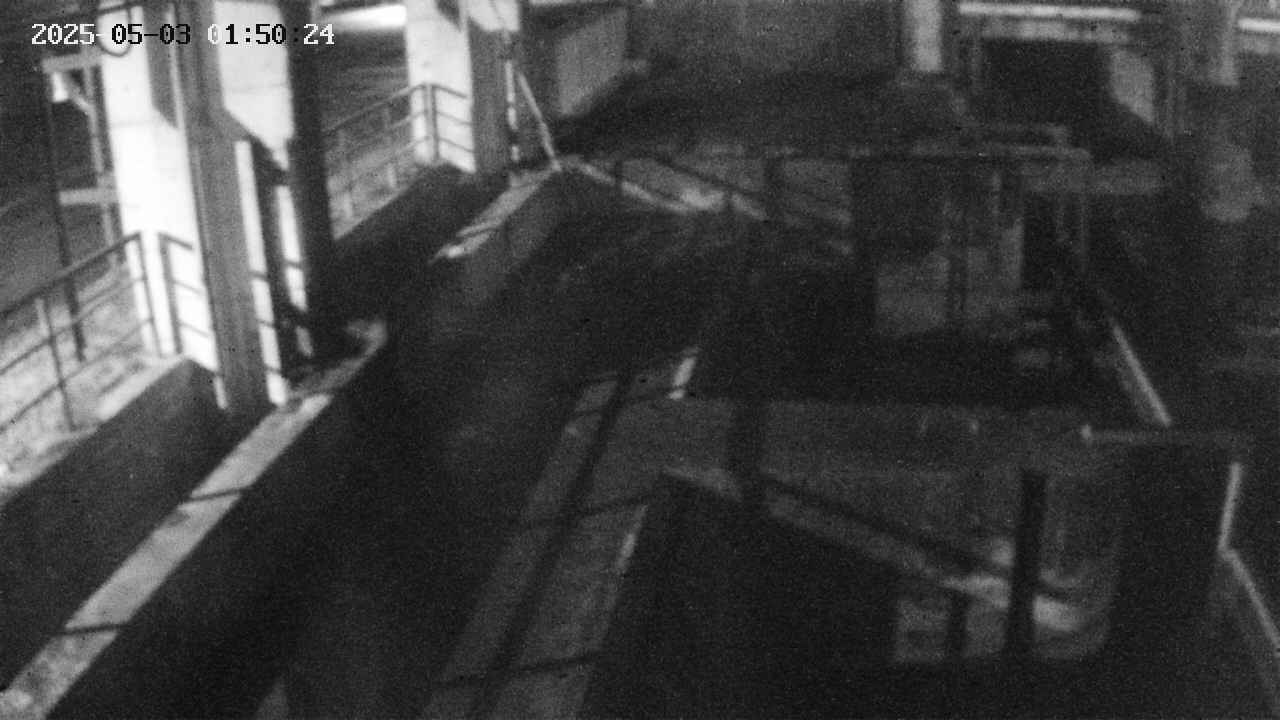 area2-20250503015025.jpg