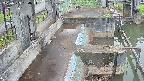 area2-20250503054025.jpg