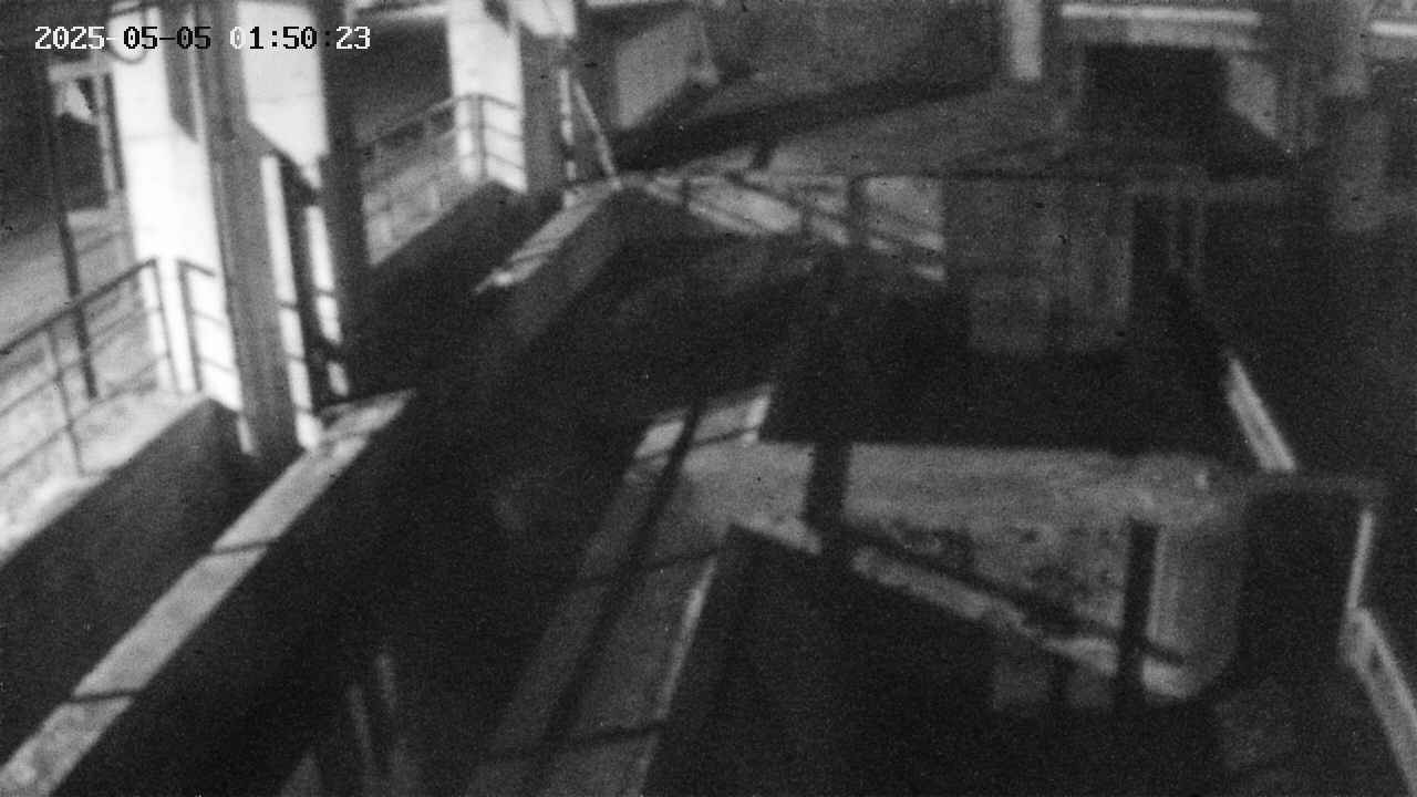 area2-20250505015024.jpg