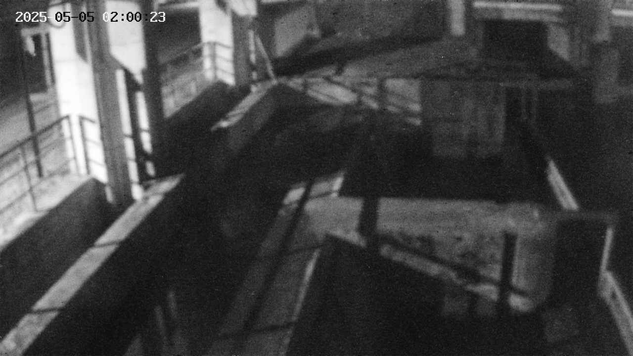 area2-20250505020025.jpg