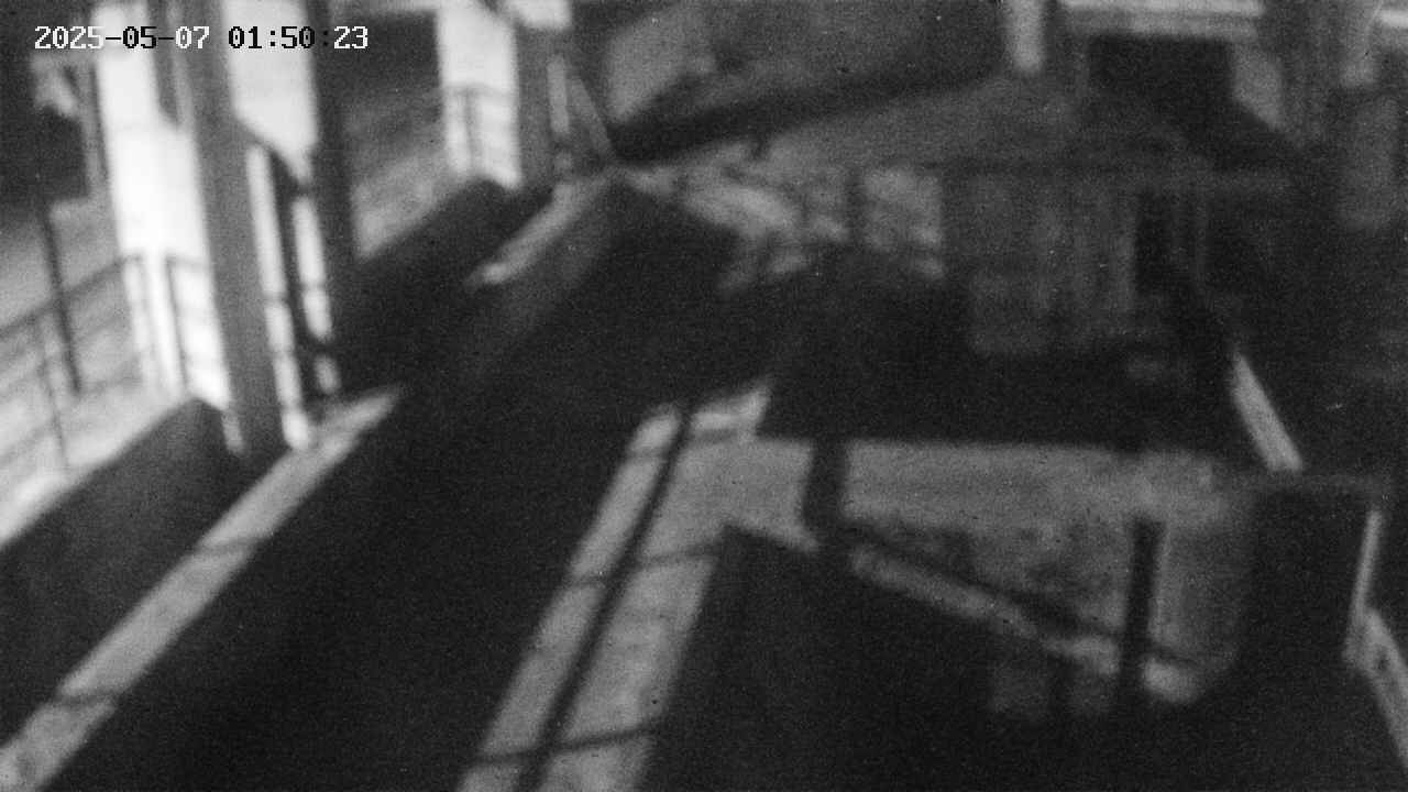 area2-20250507015025.jpg