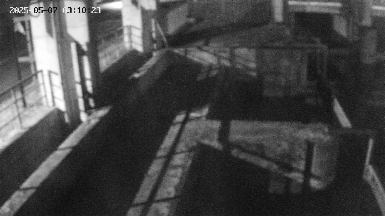 area2-20250507031024.jpg