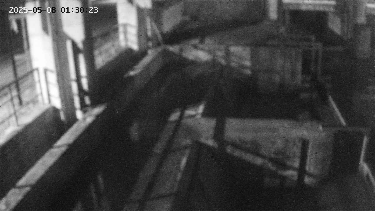 area2-20250508013024.jpg