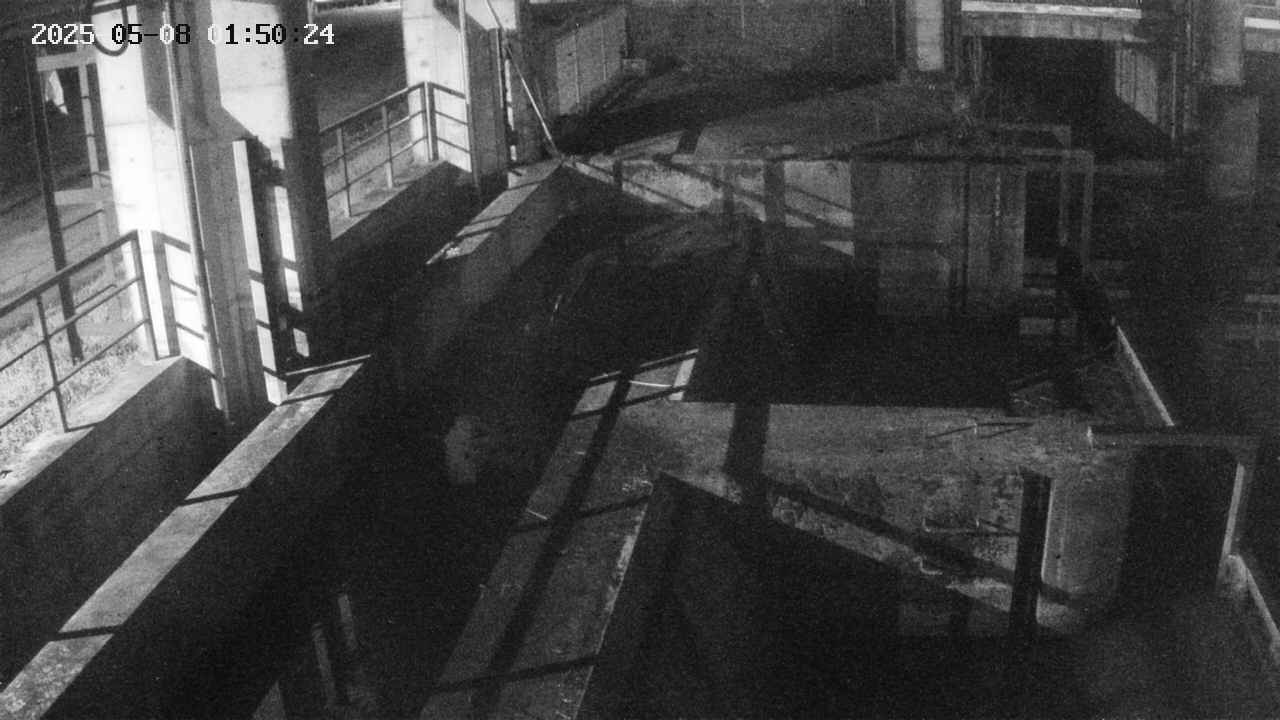 area2-20250508015025.jpg