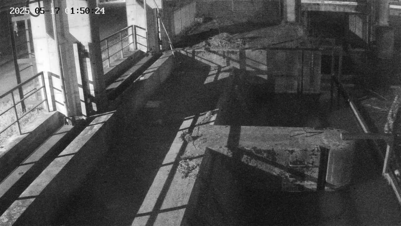 area2-20250517015025.jpg