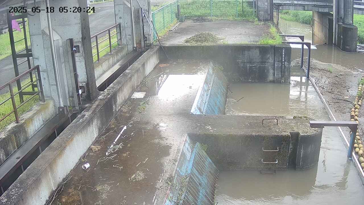 area2-20250518052026.jpg