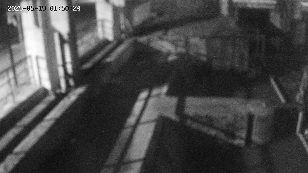 area2-20250519015025.jpg