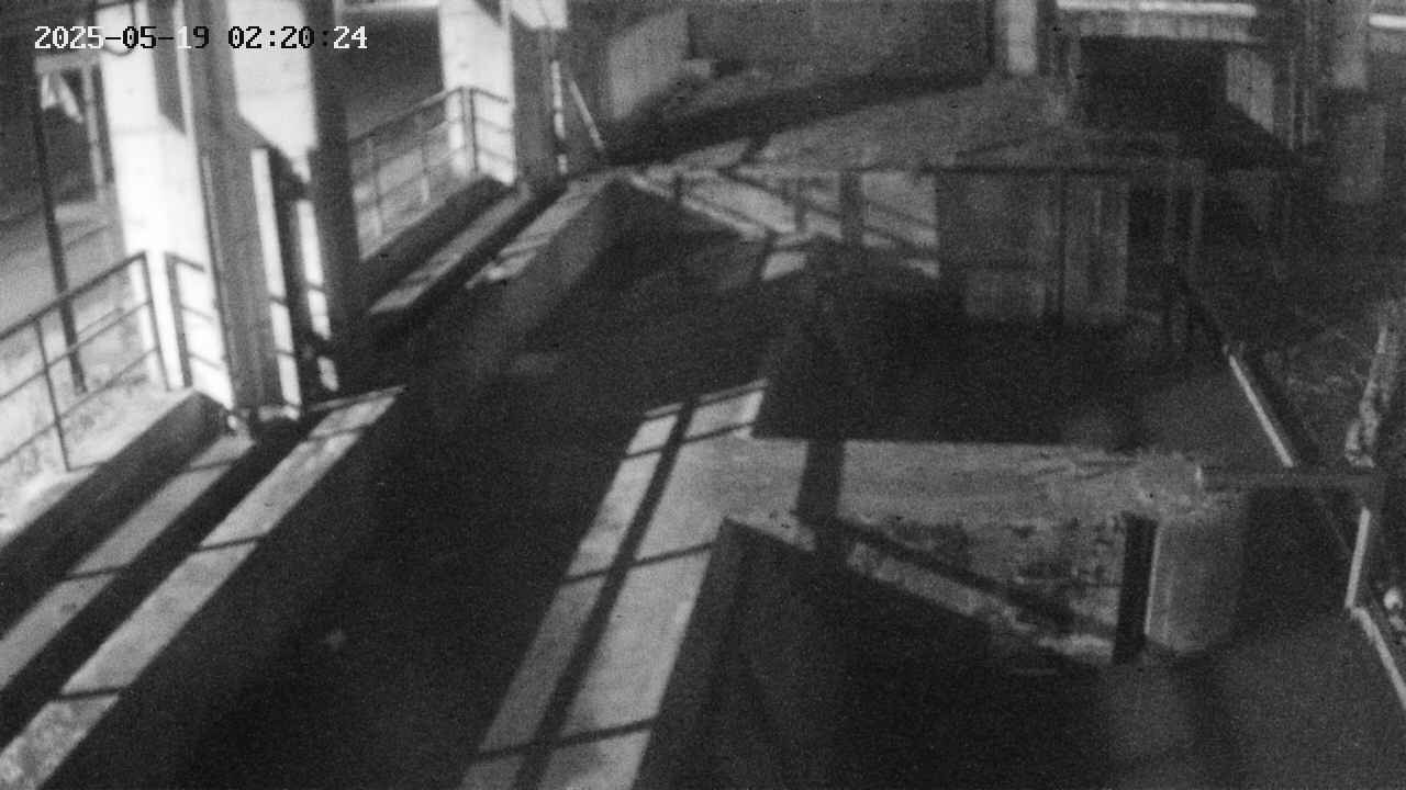 area2-20250519022025.jpg